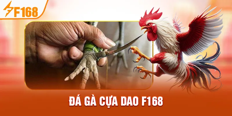 da-ga-cua-dao-f168