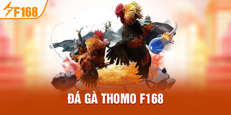 Đá Gà Thomo F168