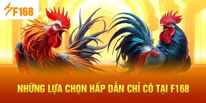 Những lựa chọn hấp dẫn chỉ có tại F168