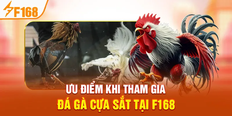 Ưu Điểm Khi Tham Gia Đá Gà Cựa Sắt Tại F168
