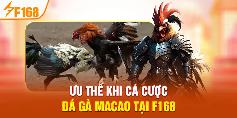 Ưu Thế Khi Cá Cược Đá Gà Macao Tại F168